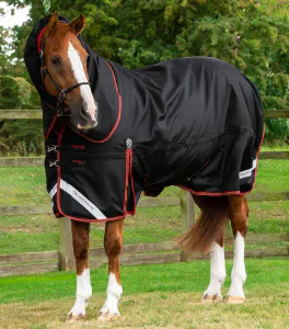 Bilde av Titan 420g Turnout Rug with Snug-Fit Neck Cover
